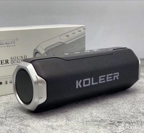 Колонка koleer S218
