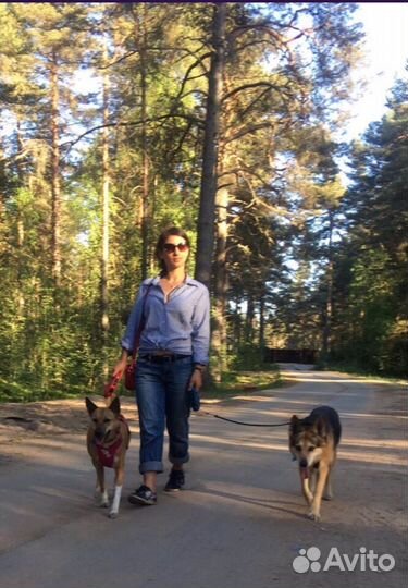 Передержка животных, зооняня