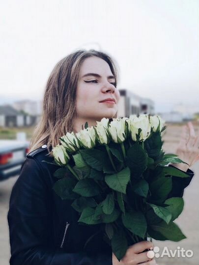 Расклейщик, курьер