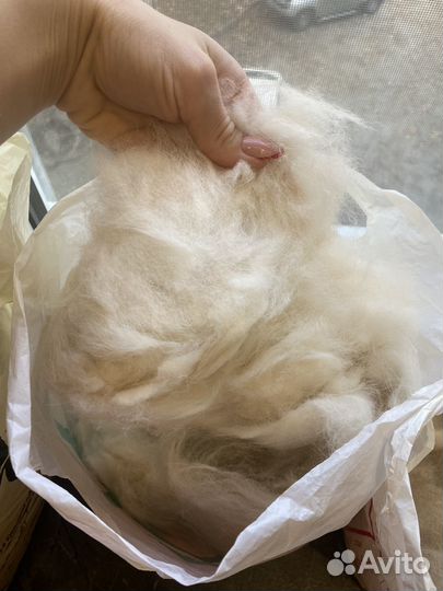 Собачья шерсть пух