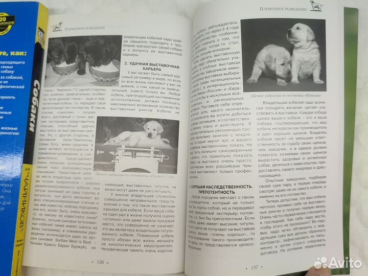 Книги о собаках Лабрадор