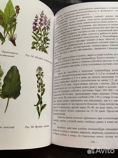 Энциклопедия сибирского травника