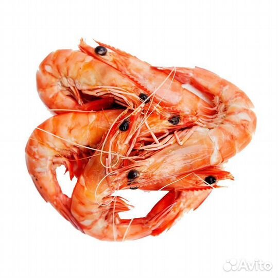 Креветки королевские