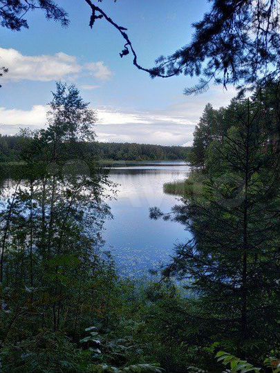 Участок 23,4 га (СНТ, ДНП)