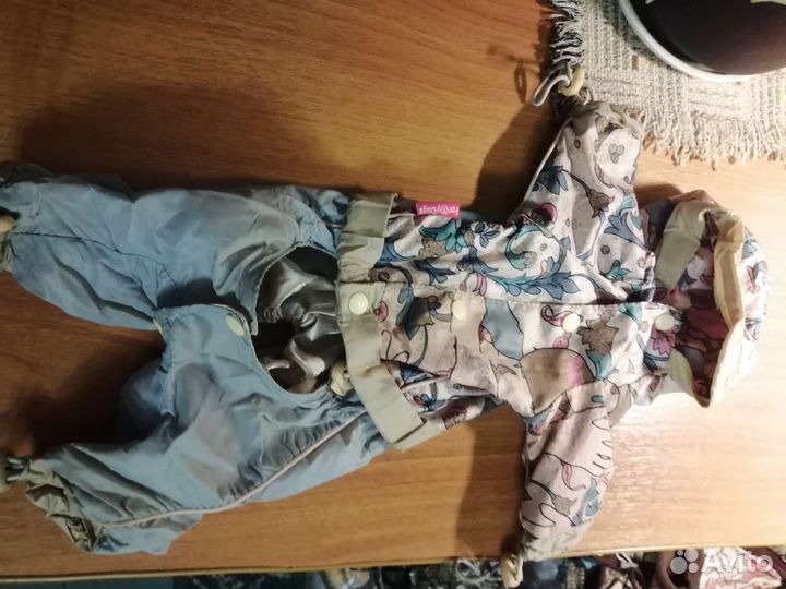 Вещи для маленьких собак