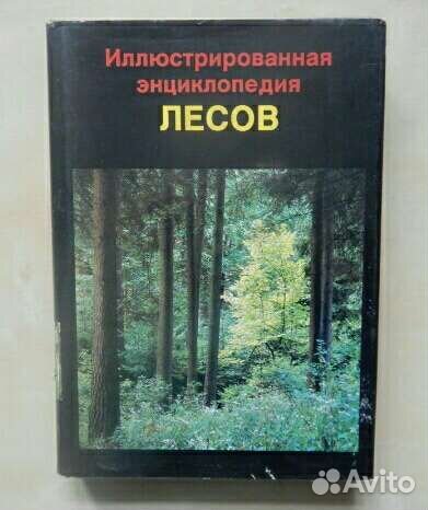 Энциклопедия лесов