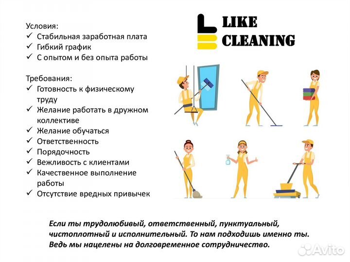 Мастер чистоты