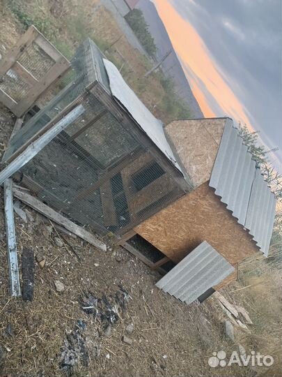 Курятник вместе с курями