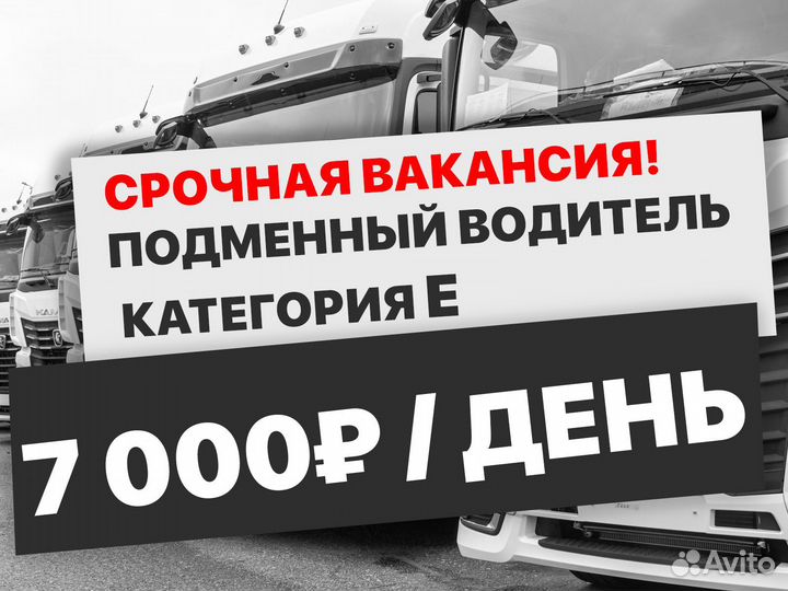 Водитель категории Е (подменный водитель)