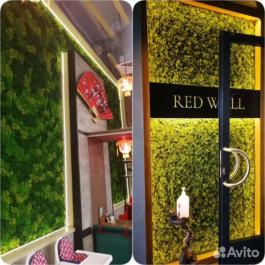 Стабилизированный мох ягель, плоский. Арт223, от