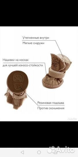 Обувь для маленьких собак