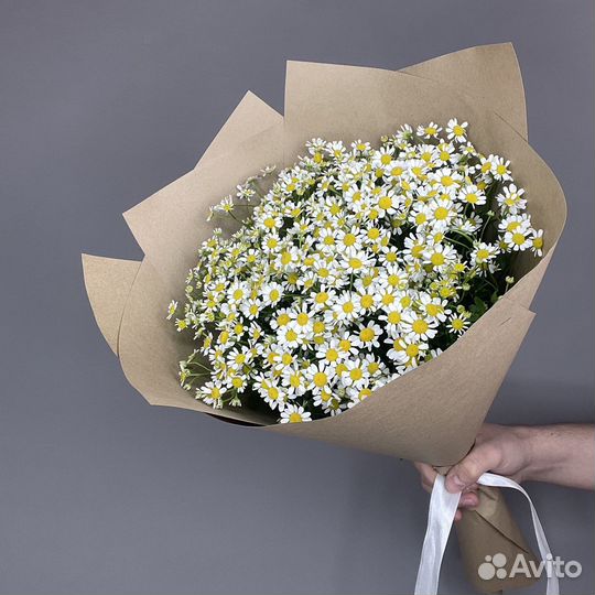 Ромашка прекрасные