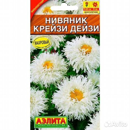 Нивяник великолепный 