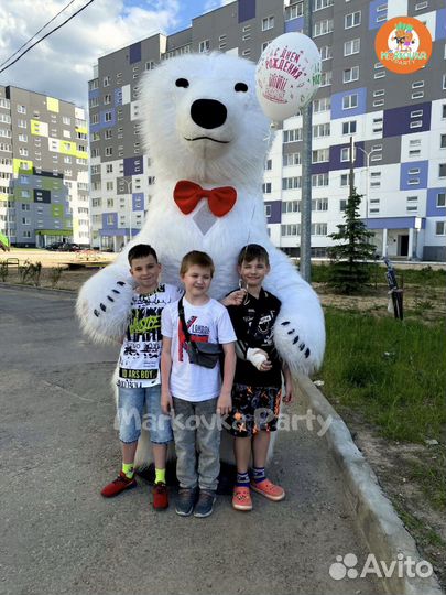 Белый мишка на день рождения, Мишка на праздник