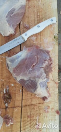 Бараны и овцы