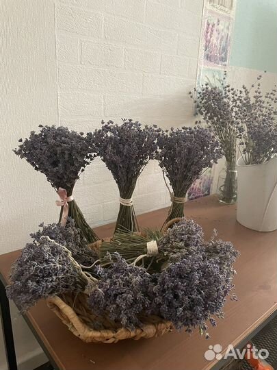 Букет лаванды