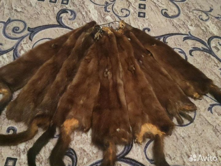 Шкурку норки