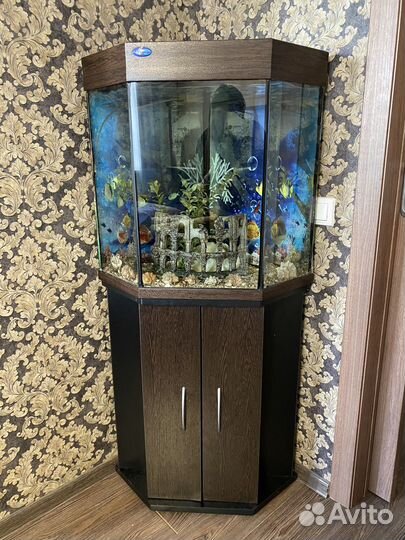 Аквариум с тумбой