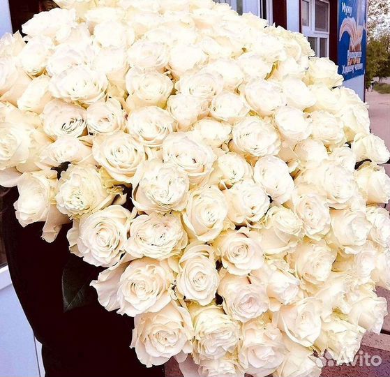Высокие розы Гигантские Розы 150 160 170 180 190см