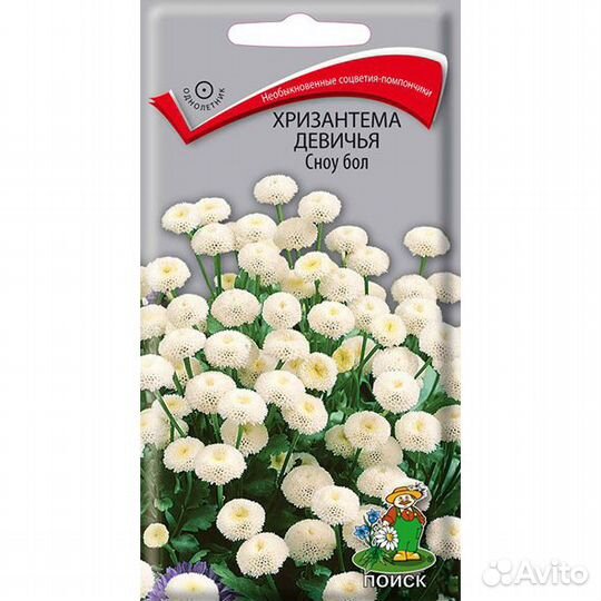 Семена Хризантема девичья Сноу бол