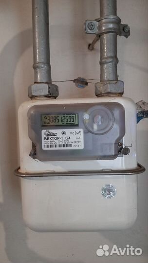Газовый счетчик Вектор т G4