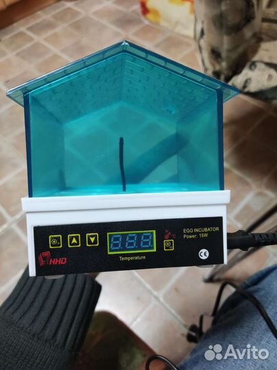 Инкубатор яиц