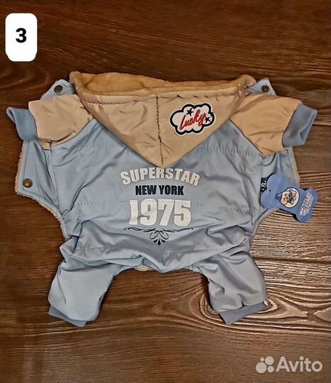 Одежда для собак