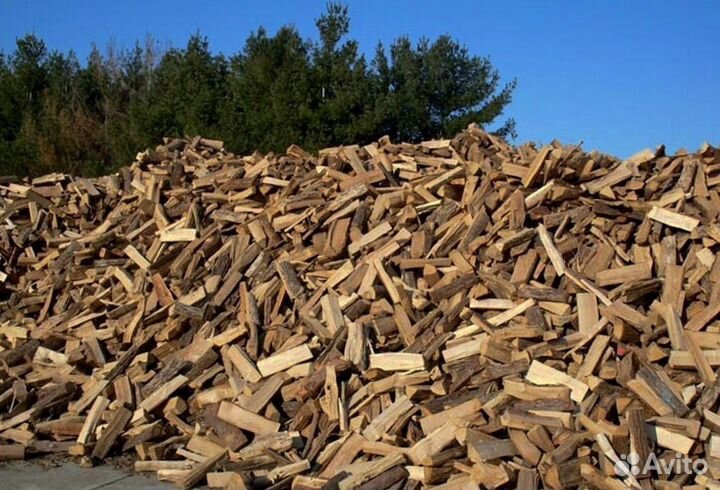 Береза осина ольха дрова