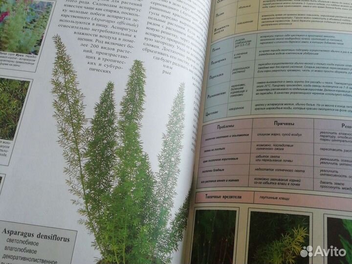 Книга про комнатные растения