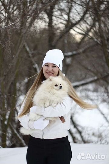 Шпиц кобель вязка