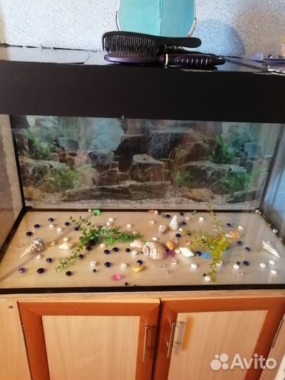 Аквариум