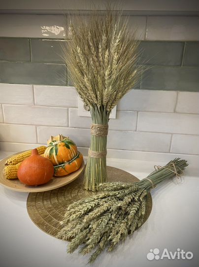 Сухоцветы пшеницы колос