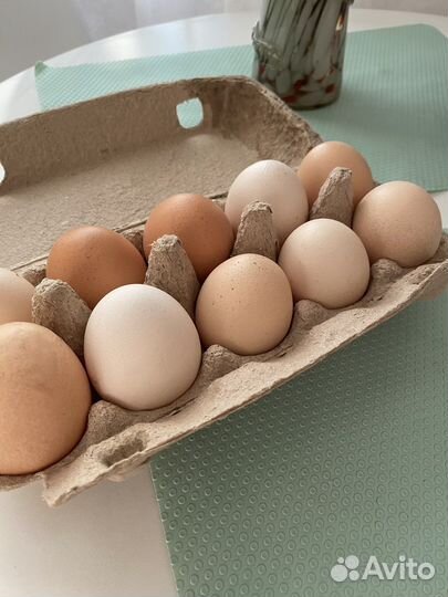 Продукты питания