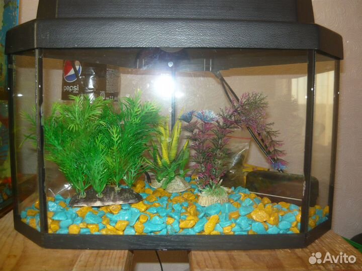 Аквариум