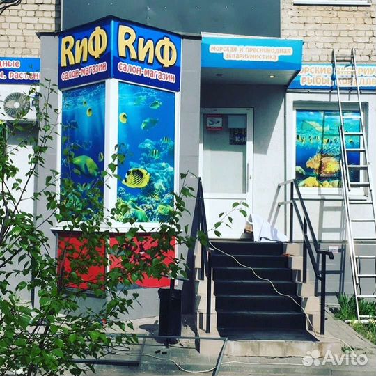 Продавец консультант в зоомагазин