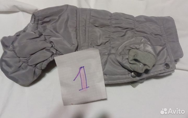 Одежда для собак