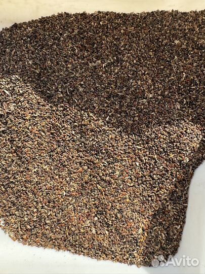 Семена люцерны