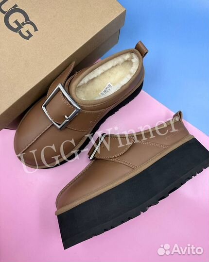 Угги женские Tasman Кожаные на платформе