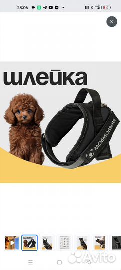 Шлейка для собаки