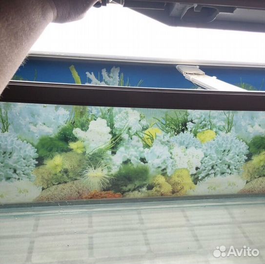 Флорариум, террариум