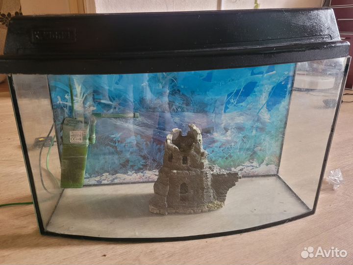 Аквариум