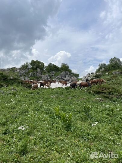 Тур выходного дня из Ростова и Краснодара