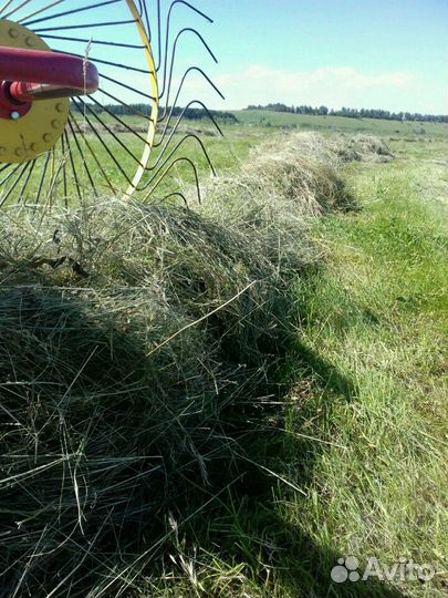 Сено в рулонах 2022 доставка