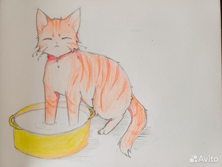 Нарисую вашего питомца