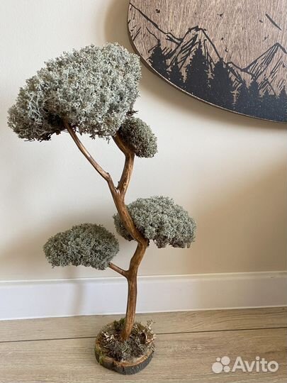 Дерево для интерьера