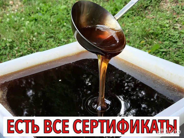 Мёд оптом с Алтая в Магнитогорск