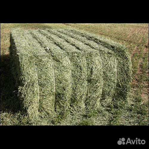 Солома- сено