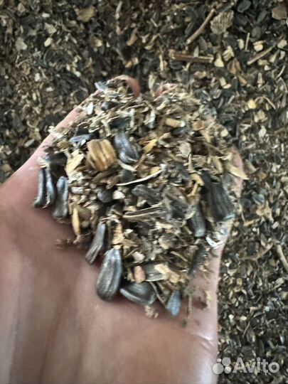 Отходы семечки