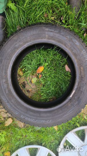 Nitto Therma Spike (NTSPK-B01) 195/60 R15 25H