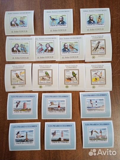 Чистые блоки фауна 2